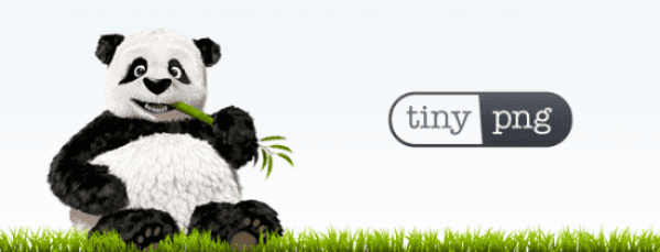 Tools Businesses Can Use Right Now To Optimize their Website: Tinypng