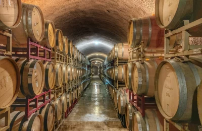 Get Expertly Crafted SEO To Help Your Winery Stand Out in Search Results