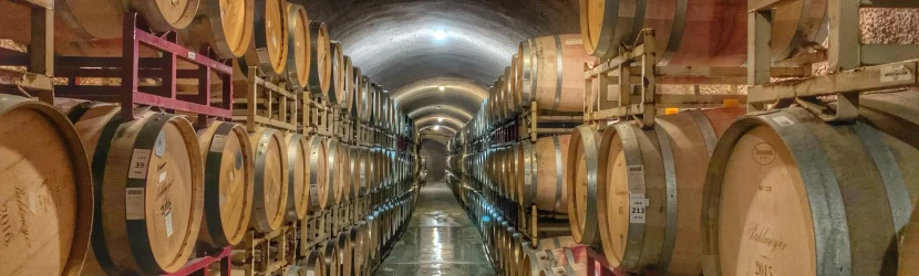 Get Expertly Crafted SEO To Help Your Winery Stand Out in Search Results