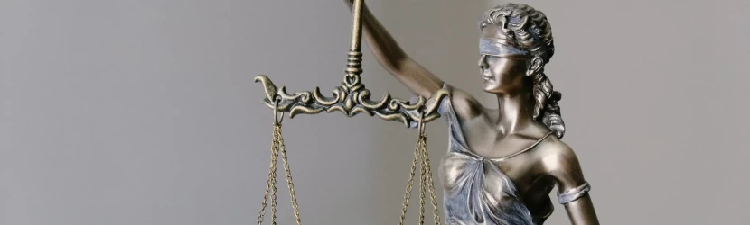 Increase Visibility and Grow Your Law Practice with Expert SEO Consulting
