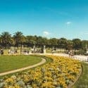 Grow Your Landscaping Business with a Professional Website Design