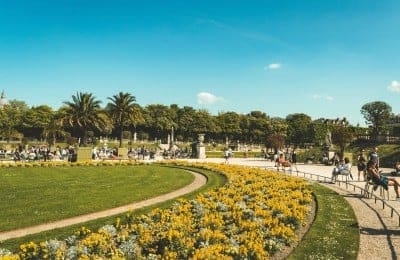 Grow Your Landscaping Business with a Professional Website Design