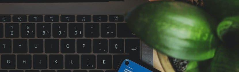 Elevate Your Online Presence with SEO & SEM Strategies