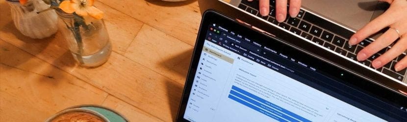 Access the Best Tips & Techniques to Improve Your Website’s SEO
