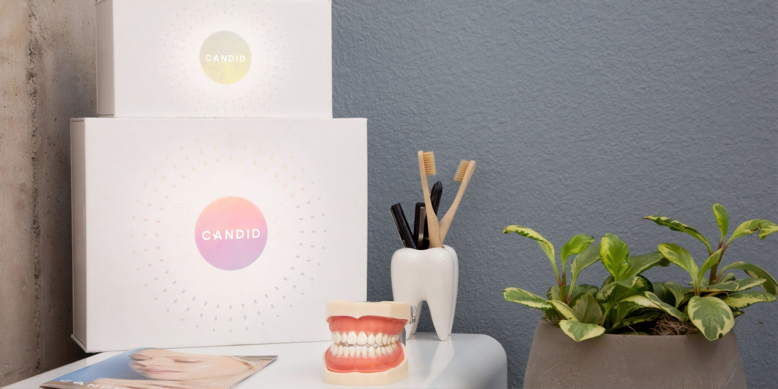 Grow Your Practice with the Help of a Trusted Dental SEO Specialist