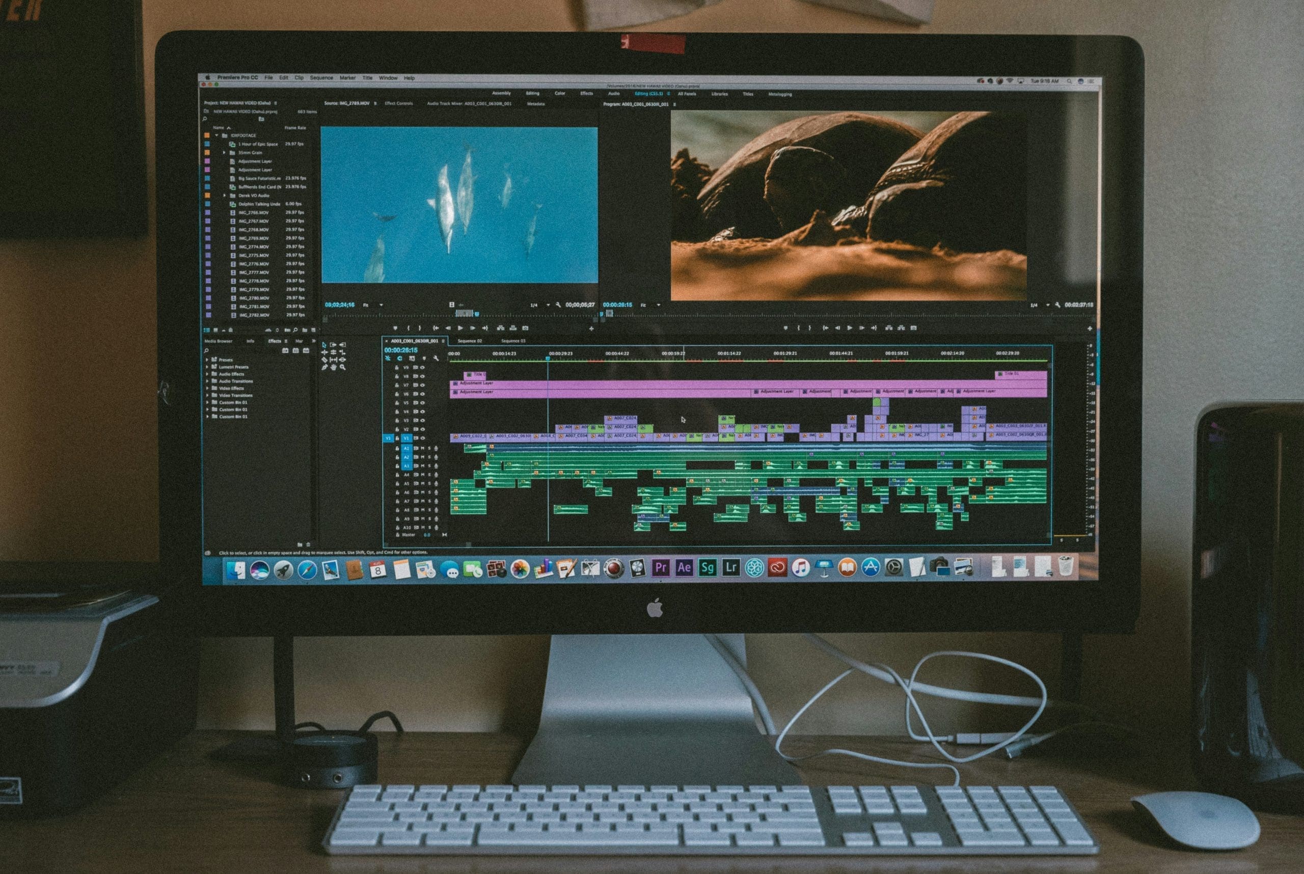 Streamline Your Campaigns with Programmatic Video