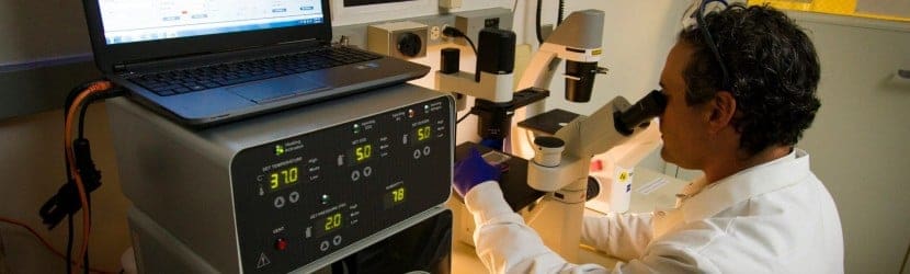 SEO Strategies Every Healthcare Provider Should Implement