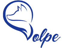 Volpe Financial Solutions