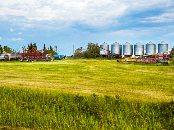 Grande Prairie