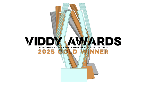 Viddy Award 2025