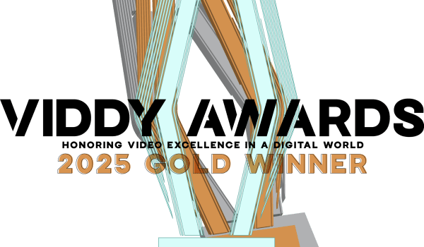 Viddy Award 2025