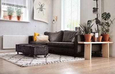 Unlocking Online Success: 2026 SEO Roadmap for Carpet Cleaning Startups