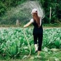 Cultivating Digital Authority: The 2026 Guide to Search Dominance for Farms and Ag-Tech
