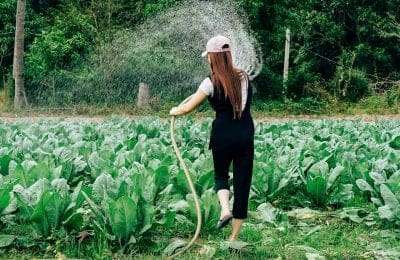 Cultivating Digital Authority: The 2026 Guide to Search Dominance for Farms and Ag-Tech
