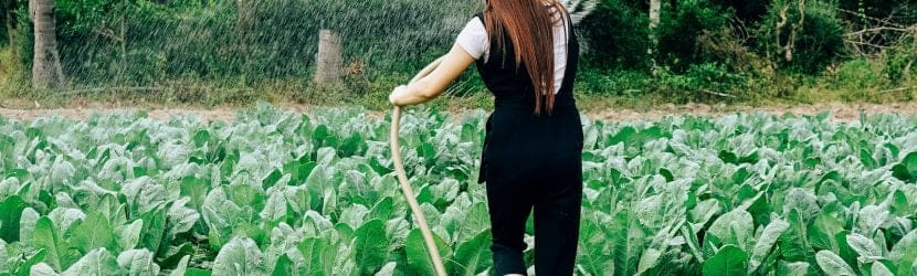 Cultivating Digital Authority: The 2026 Guide to Search Dominance for Farms and Ag-Tech